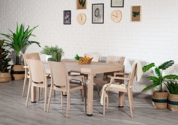 Rattan 90*150 Table set With arm Chair - Cappucino
