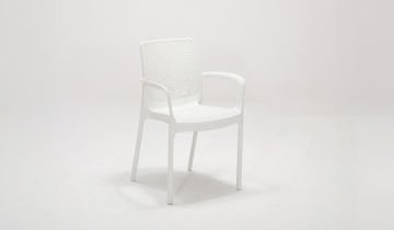 Viva Chair - Multi Coloured