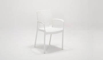 Viva Chair - Multi Coloured