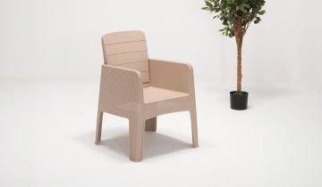 Apex Chair - Multi Coloured