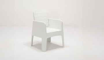 Apex Chair - Multi Coloured